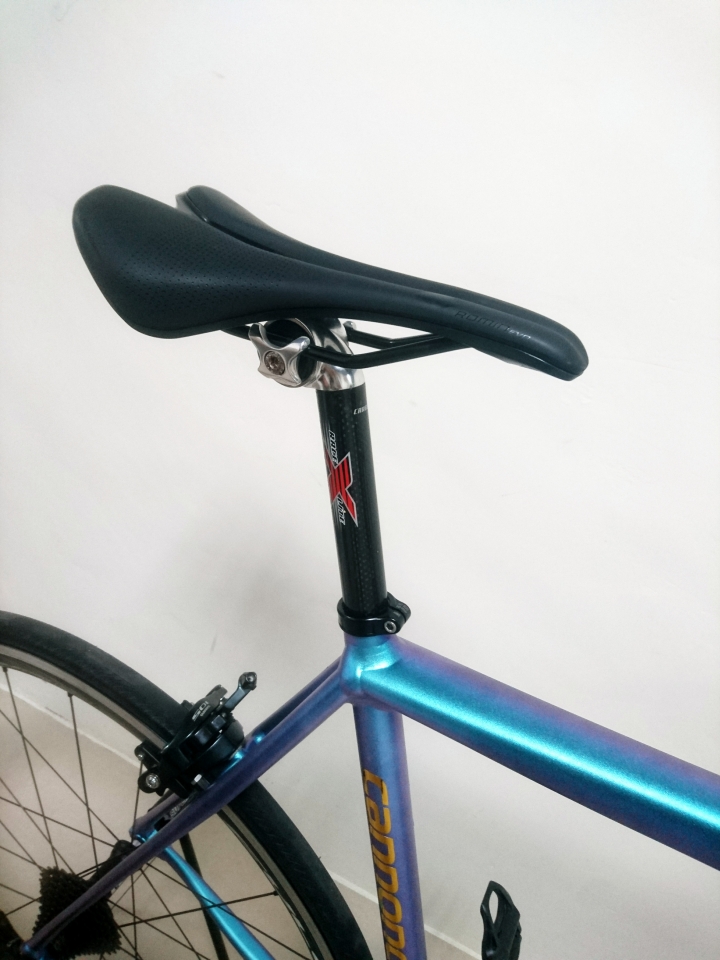【偽開箱】 2015 Cannondale Caad 10 變色龍車架