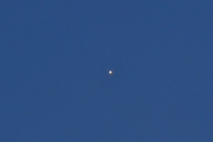 D850拍蝙蝠、雲朵、夕陽黃昏和鴿子,也拍到了木星與金星。