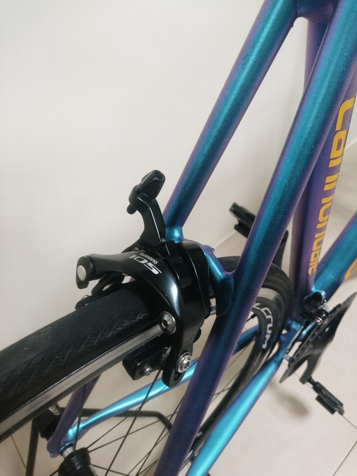 【偽開箱】 2015 Cannondale Caad 10 變色龍車架
