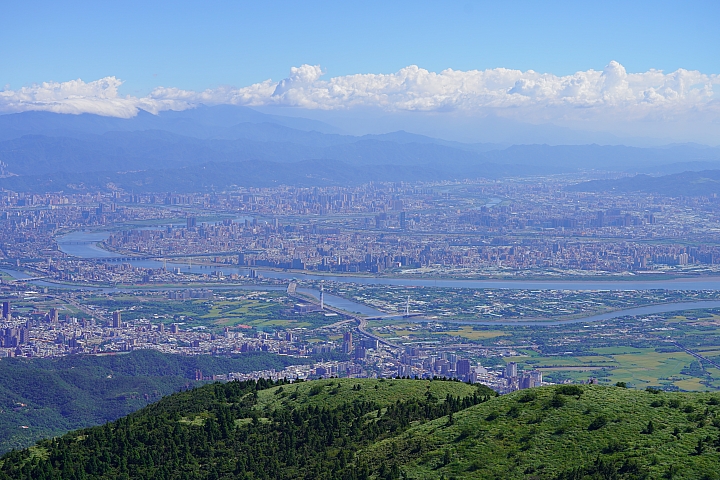 Sigma 70mm f/2.8 DG Macro Art 評測報告｜FE-Mount 微距新星「利」到沒朋友！