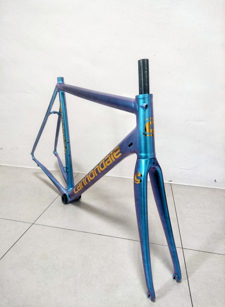 【偽開箱】 2015 Cannondale Caad 10 變色龍車架