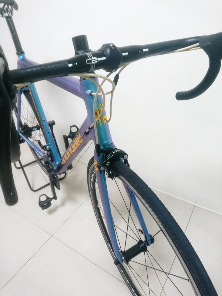 【偽開箱】 2015 Cannondale Caad 10 變色龍車架