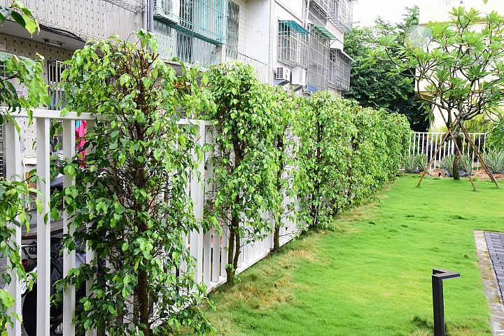 高雄大樹區九曲堂泰芳鳳梨罐頭工場