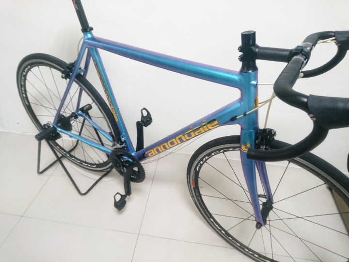 【偽開箱】 2015 Cannondale Caad 10 變色龍車架