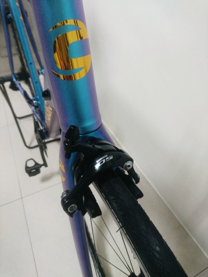 【偽開箱】 2015 Cannondale Caad 10 變色龍車架