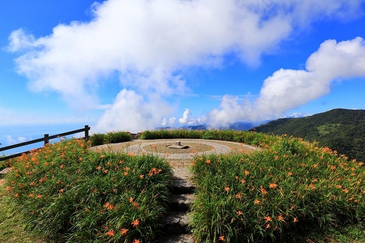 太麻里金針山花季遊