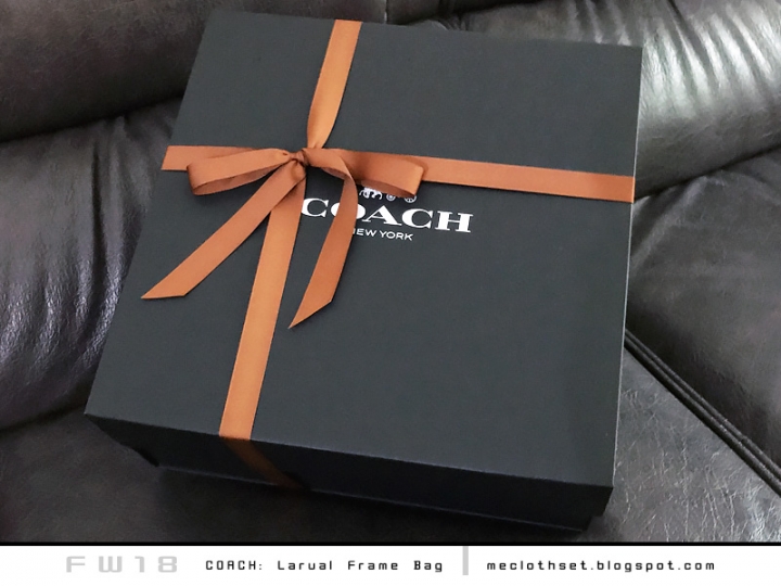 COACH1941系列: Laural Frame Bag