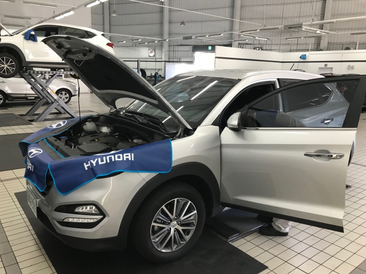 tucson免費秋季健檢