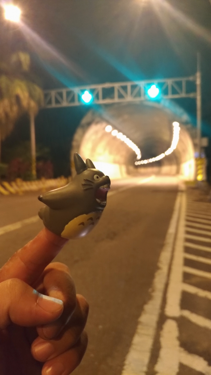 武嶺走走
