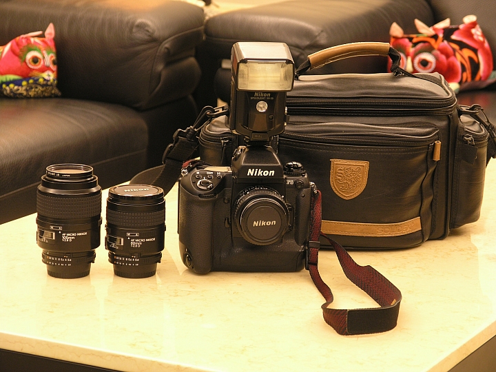 Nikon P1000蓋大樓