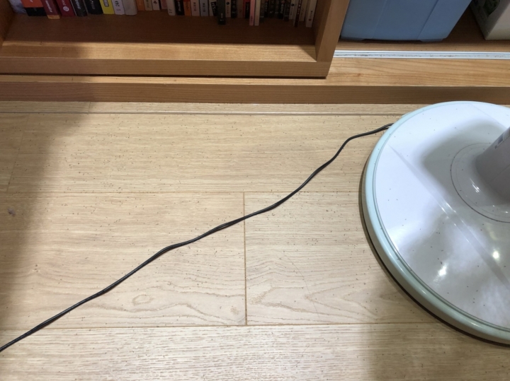 房間從7月開始被小黑飛蟲佔領