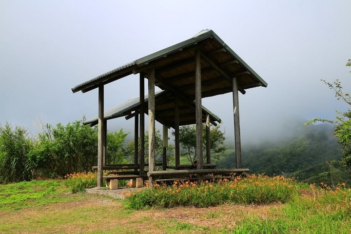 太麻里金針山花季遊