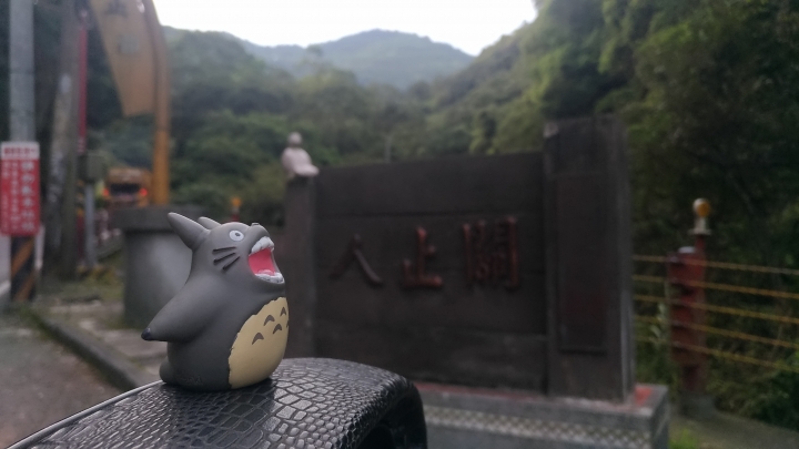 武嶺走走