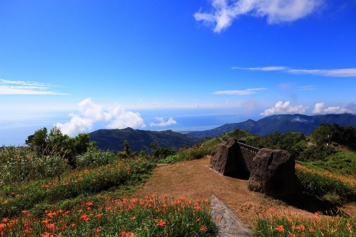 太麻里金針山花季遊