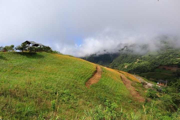 太麻里金針山花季遊