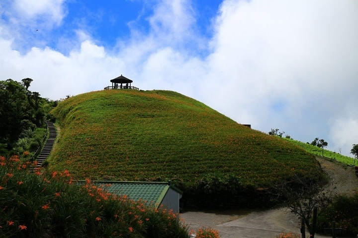 太麻里金針山花季遊