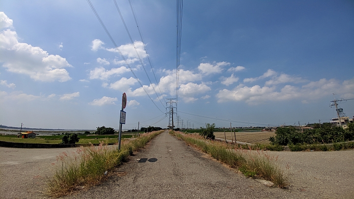 田在芯頭