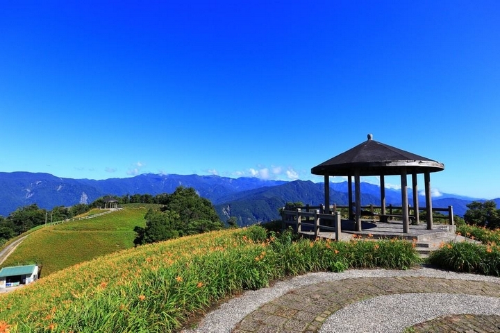 太麻里金針山花季遊