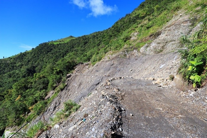 太麻里金針山花季遊
