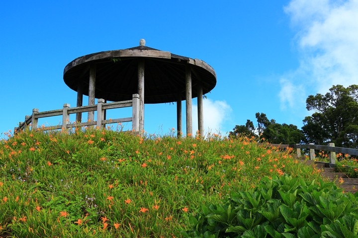 太麻里金針山花季遊