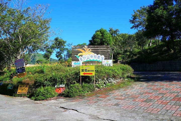 太麻里金針山花季遊