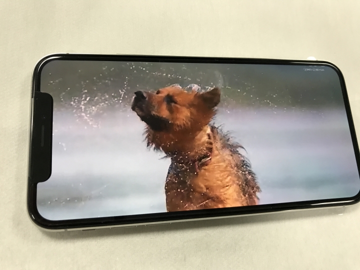 iPhone XS 256G銀色 簡易開箱體驗分享