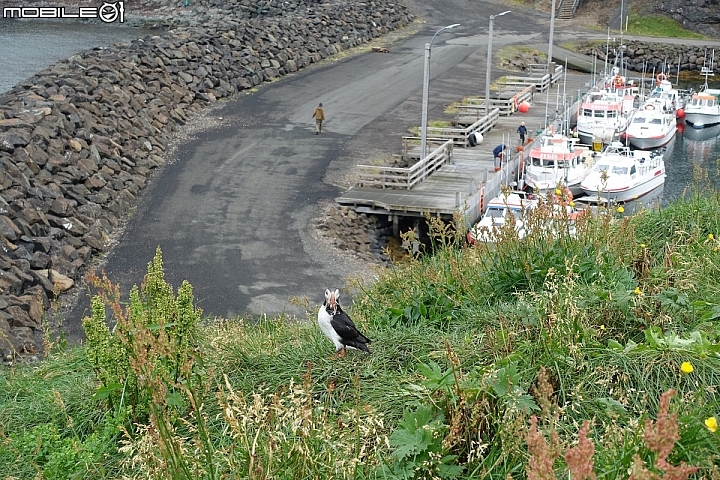 在夢想的路上：一個女生的「冰島」單車環島（Day15-28）