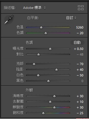 Nikon Z7四個Lightroom風格檔釋出,順便講解一下Lightroom的操作要點。