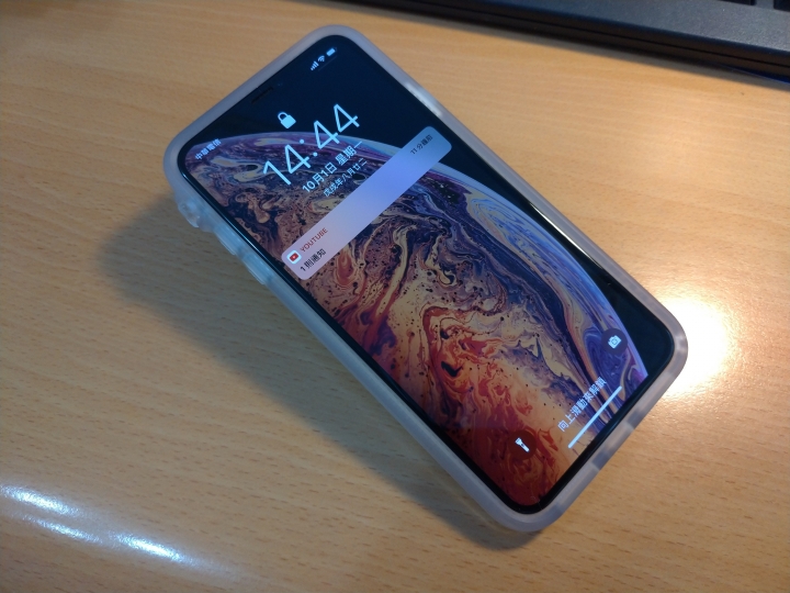 金Xs Max 原廠皮革(紅) Catalyst透明色 moshi vitros全透明分享