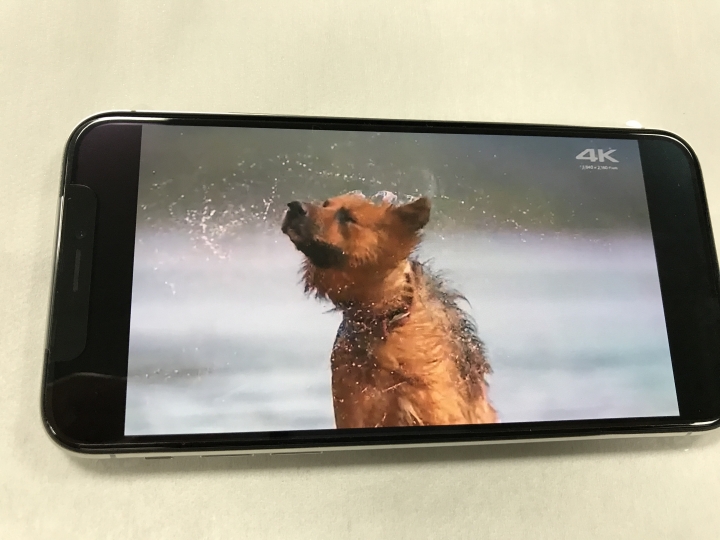 iPhone XS 256G銀色 簡易開箱體驗分享