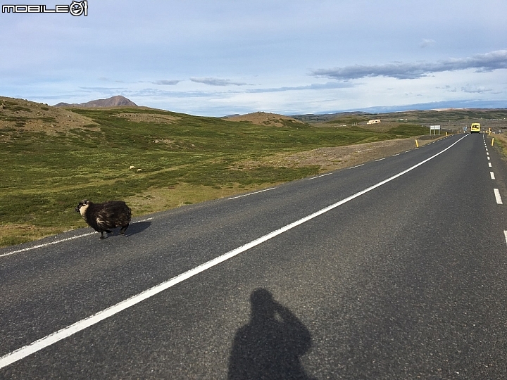 在夢想的路上：一個女生的「冰島」單車環島（Day15-28）