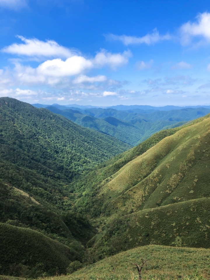 Golf一日宜蘭行,網紅景點抹茶山