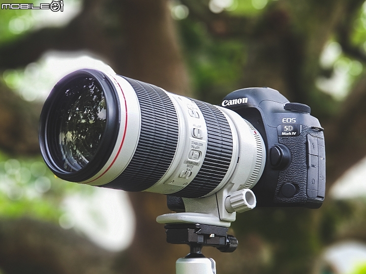 Canon EF 70-200mm f/2.8L IS III USM 評測報告|ASC 鍍膜加持超有感 整體戰力更全面!