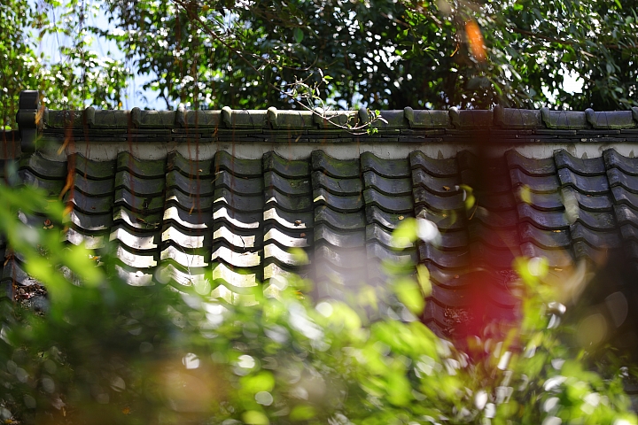Canon EF 70-200mm f/2.8L IS III USM 評測報告|ASC 鍍膜加持超有感 整體戰力更全面!