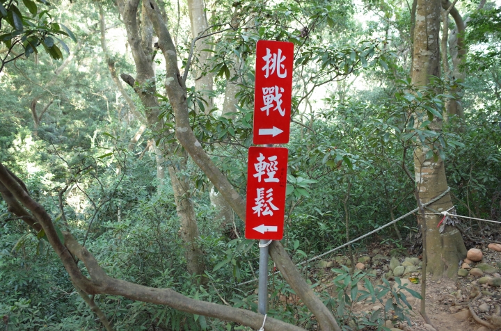 我與小鳥飛翔: 苗栗火燄山 ! 看看峽谷風情