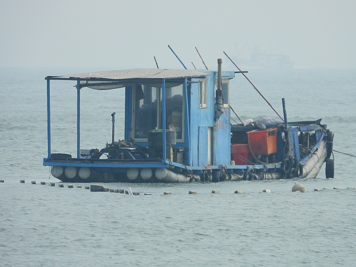Nikon記錄林園高屏溪出海口捕鰻魚苗架
