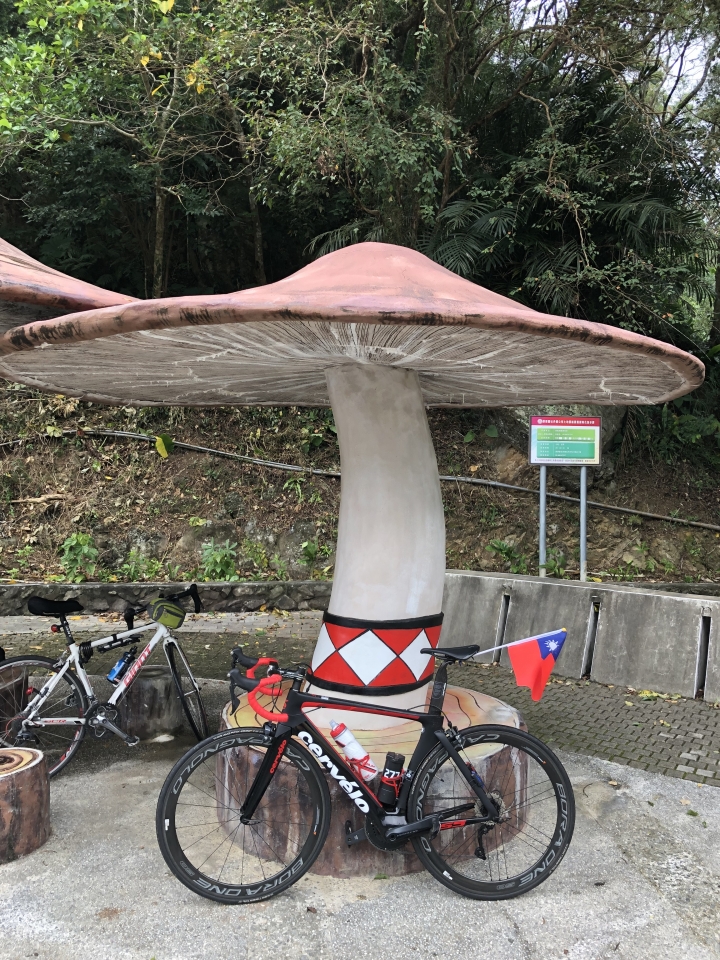 2018 年末。台灣 環島遊記 ~~~