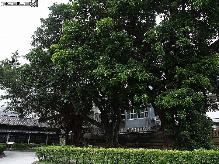 花蓮市 花蓮鐵道文化園區 -- 遙想舊時臺東線鐵路殘跡