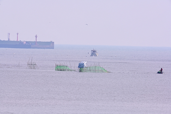 Nikon記錄林園高屏溪出海口捕鰻魚苗架