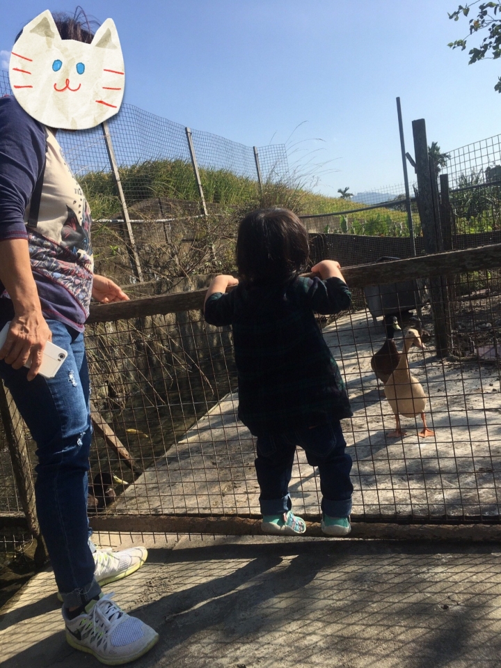 Touran家庭出遊兼微開箱心得分享(曬可愛女鵝!)