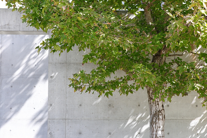 Canon EF 70-200mm f/2.8L IS III USM 評測報告|ASC 鍍膜加持超有感 整體戰力更全面!