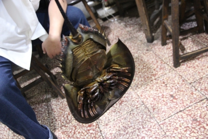 騎 向 英 雄 ( 金 門 ) 島 , 大 膽 島 秘 境 遊