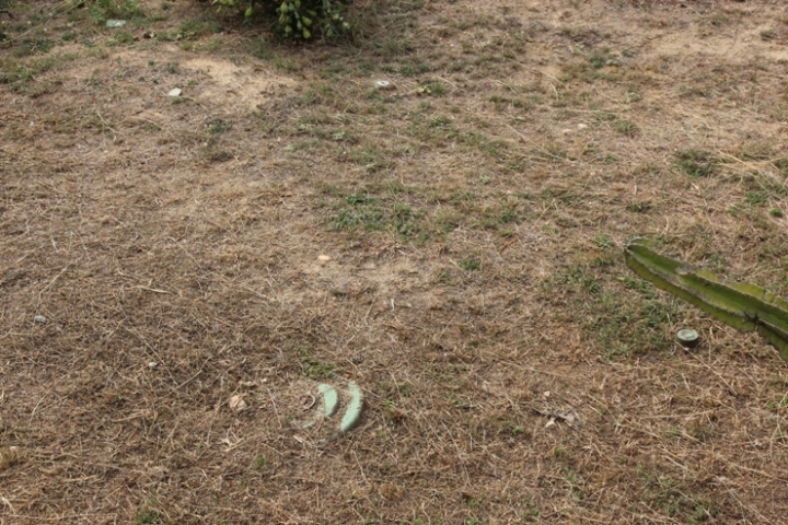 騎 向 英 雄 ( 金 門 ) 島 , 大 膽 島 秘 境 遊
