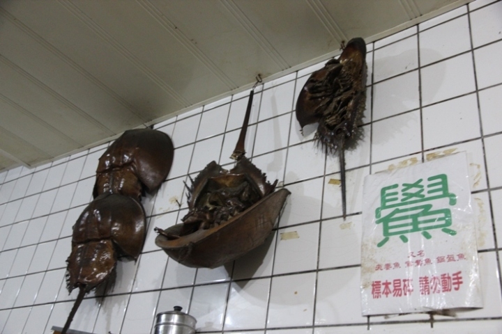 騎 向 英 雄 ( 金 門 ) 島 , 大 膽 島 秘 境 遊