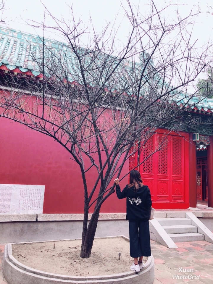 引藏的秘密