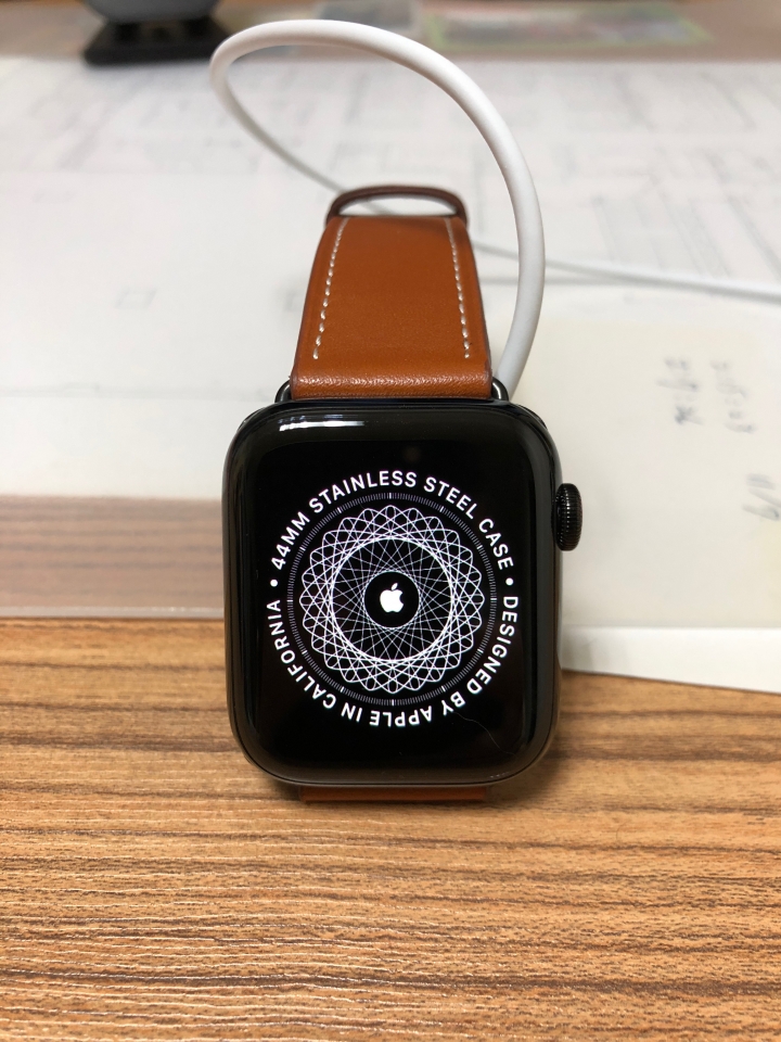 Apple Watch4入手,可是...