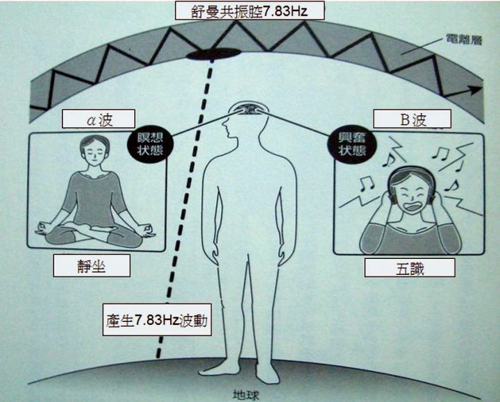 <<天使降臨>>床的世界好好睡心得分享<<舒曼波>>