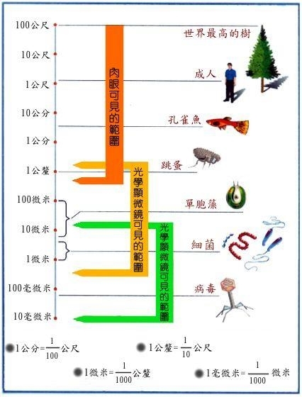 關於家用淨水器 (中)