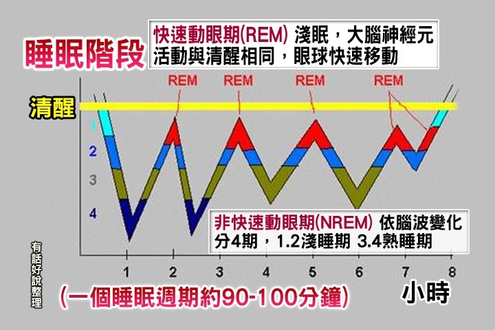 <<天使降臨>>床的世界好好睡心得分享<<舒曼波>>