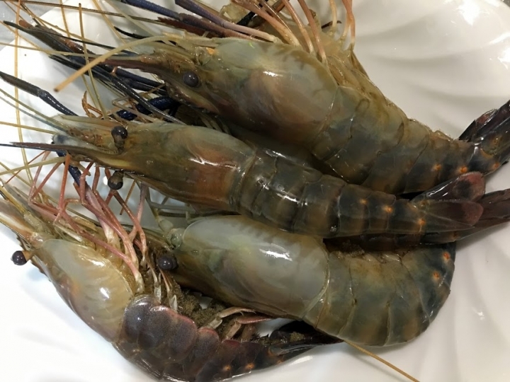 世界三大名湯之一"泰式酸辣蝦湯"Tom Yum Goong